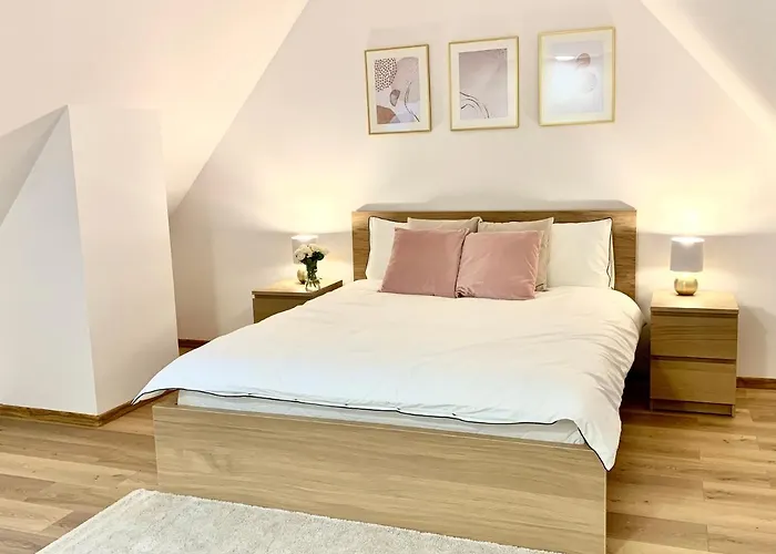Hotel, Apartament Pod Zlotym Lwem W Samym Centrum Miasta Z Darmowym Parkingiem VII