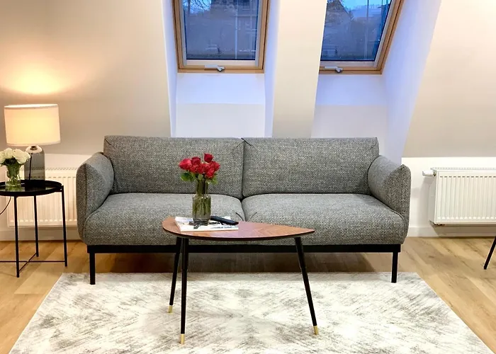Hotel, Apartament Pod Zlotym Lwem W Samym Centrum Miasta Z Darmowym Parkingiem VII